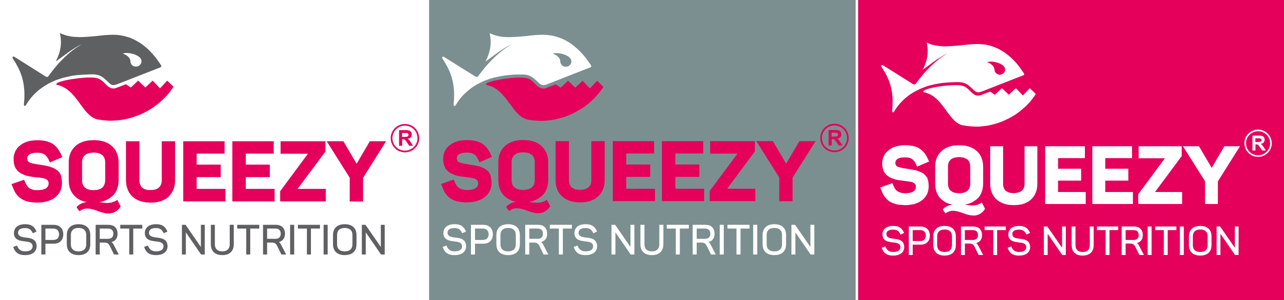 Squeezy Logo Varianten 2021